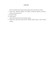 Ilgalaikio turto įsigijimo finansavimo parinkimas 3 puslapis