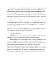 Ilgalaikio turto įsigijimo finansavimo parinkimas 8 puslapis