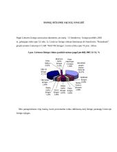 Ilgalaikio turto įsigijimo finansavimo parinkimas 10 puslapis