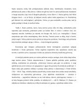 Imanuelis Kantas ir pagrindiniai jo etikos bruožai 9 puslapis