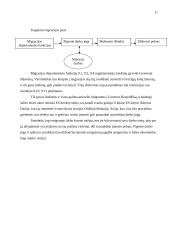 Imigracijos tarnybos poveikio verslui modelis 11 puslapis