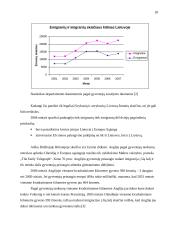 Imigracijos tarnybos poveikio verslui modelis 18 puslapis