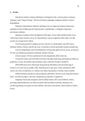 Imigracijos tarnybos poveikio verslui modelis 19 puslapis