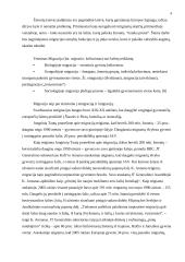 Imigracijos tarnybos poveikio verslui modelis 4 puslapis