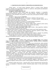 Įmonės (verslo) taktinis planavimas 2 puslapis