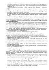 Įmonės (verslo) taktinis planavimas 11 puslapis