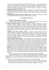 Įmonės (verslo) taktinis planavimas 19 puslapis