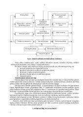 Įmonės (verslo) taktinis planavimas 3 puslapis