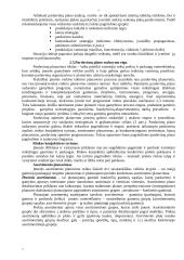 Įmonės (verslo) taktinis planavimas 7 puslapis