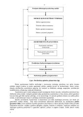 Įmonės (verslo) taktinis planavimas 8 puslapis