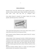 Įmonės aprašymas: prekyba apatiniu trikotažu IĮ "Vizija" 4 puslapis