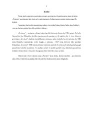 Įmonės asortimento analizė: "Švyturys" 2 puslapis