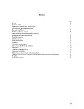 Įmonės etikos kodeksas 15 puslapis