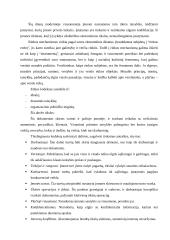 Įmonės etikos kodeksas: UAB "Palink" 4 puslapis