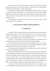 Įmonės etikos kodeksas: UAB "Palink" 6 puslapis