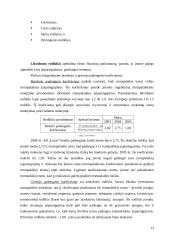 Įmonės finansinė analizė: UAB "Linas Nordic" 13 puslapis