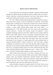 Įmonės finansinė analizė: UAB "Linas Nordic" 4 puslapis