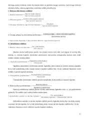 Įmonės finansų analizės organizavimas 11 puslapis