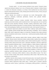 Įmonės finansų analizės organizavimas 9 puslapis