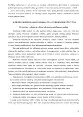 Įmonės finansų analizės organizavimas 10 puslapis