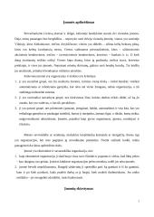 Įmonės ir jų rūšys 2 puslapis