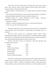 Įmonės ir jų rūšys 3 puslapis