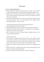 Įmonės ir jų rūšys 6 puslapis