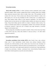 Įmonės ir jų rūšys 7 puslapis