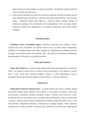 Įmonės ir jų rūšys 10 puslapis