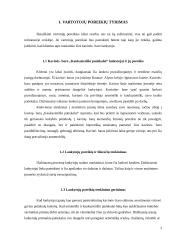 Įmonės įvertinimas marketingo požiūriu: kavinė-baras "Kaukazietiški patiekalai" 3 puslapis