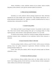 Įmonės įvertinimas marketingo požiūriu: kavinė-baras "Kaukazietiški patiekalai" 7 puslapis