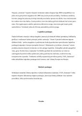 Įmonės logistikos sistemų analizė: UAB "Samsonas" 13 puslapis