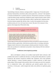 Įmonės logistikos sistemų analizė: UAB "Samsonas" 8 puslapis