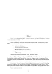 Įmonės marketingo tyrimas: AB "Vilniaus pergalė" 13 puslapis