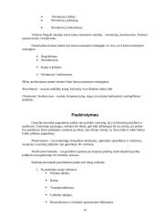 Įmonės marketingo tyrimas: AB "Vilniaus pergalė" 14 puslapis