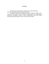 Įmonės raštvedybos charakteristika: prekybos nekilnojamu turtu UAB "Miestas" 19 puslapis