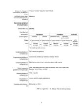 Įmonės raštvedybos charakteristika: prekybos nekilnojamu turtu UAB "Miestas" 9 puslapis