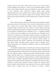 Įmonės steigimas ir veiklos pradžia: UAB "Džinas" 13 puslapis