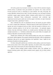 Įmonės steigimas ir veiklos pradžia: UAB "Džinas" 3 puslapis