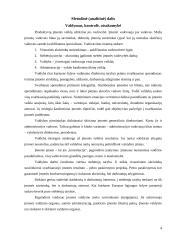 Įmonės steigimas ir veiklos pradžia: UAB "Džinas" 4 puslapis