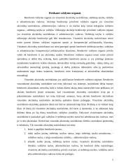 Įmonės steigimas ir veiklos pradžia: UAB "Džinas" 5 puslapis