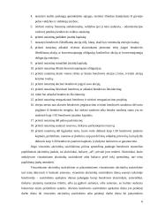 Įmonės steigimas ir veiklos pradžia: UAB "Džinas" 6 puslapis