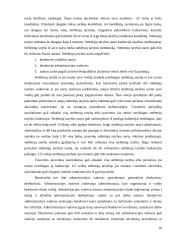 Įmonės steigimas ir veiklos pradžia: UAB "Džinas" 10 puslapis