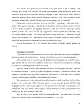 Nuosavybės teisės gynyba Romėnų teisėje 16 puslapis