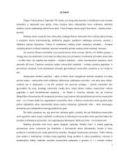 Nuosavybės teisės gynyba Romėnų teisėje 3 puslapis
