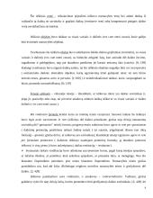 Nuosavybės teisės gynyba Romėnų teisėje 8 puslapis