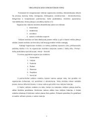 Įmonės struktūra bei darbuotojų vaidmuo organizacijoje 2 puslapis
