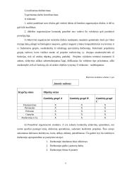 Įmonės struktūra bei darbuotojų vaidmuo organizacijoje 4 puslapis