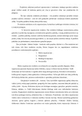 Įmonės struktūra bei darbuotojų vaidmuo organizacijoje 5 puslapis