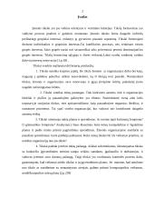 Įmonės tikslų vertinimas 2 puslapis